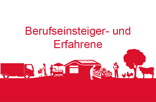 Berufseinsteiger- und erfahrene